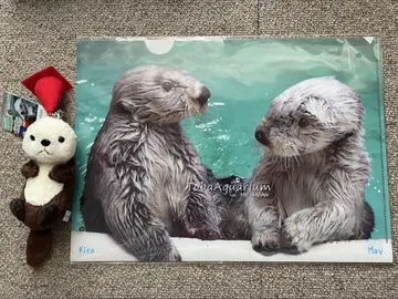 도바 수족관 랏코 키라메이 클리어 파일 봉제 인형