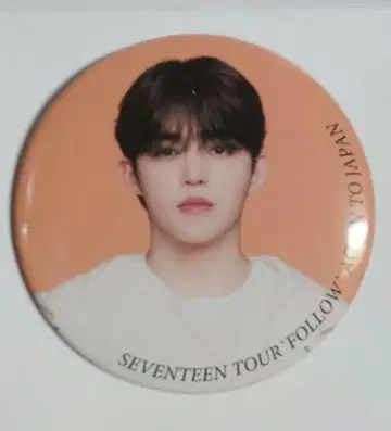 SEVENTEEN 세부치 follow again 캔뱃지 에스크