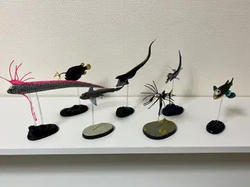 카로라타 입체 도감 심해어 DEEP SEA FISH