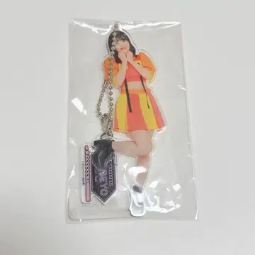오카무라 미나미 참 포함 솔로 아크릴 키링