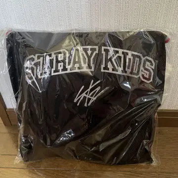 straykids 업그레이드 혜택