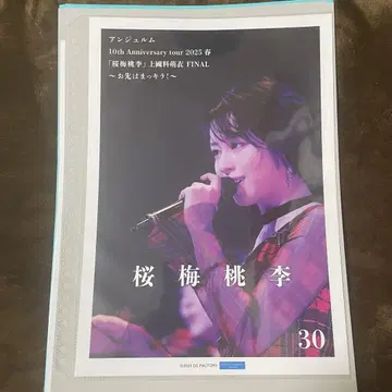 안주루무 히라야마 유키 핑포스