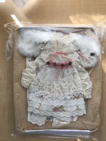 네오 브라이스 아웃핏 작가님