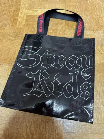 Stray Kids domin ATE 투어 업그레이드 혜택