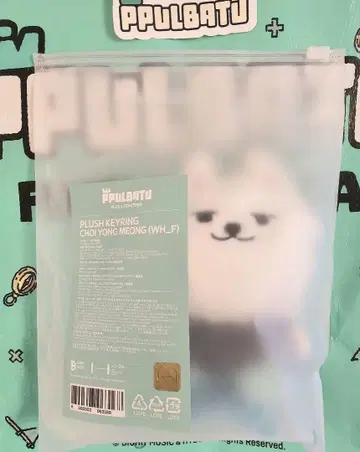 TXT ppulbatu finding moa 용몬프래시 키링