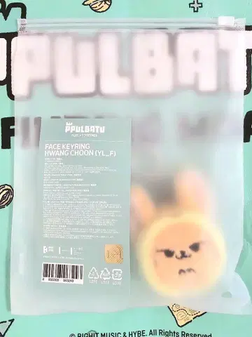 TXT ppulbatu finding moaFace 키링 팬 쿵