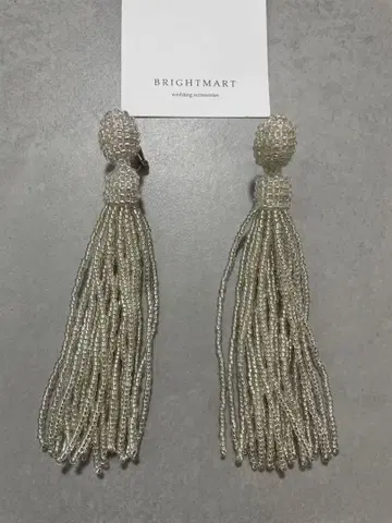 BRIGHTMART Ray/Platinum silver 귀찌