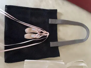 래들로 밸리 신발 메쉬 백