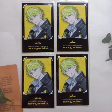 써니 블리스코 폴라로이드