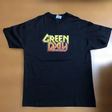 GREEN DAYS 티셔츠 L 빈티지 T 2001