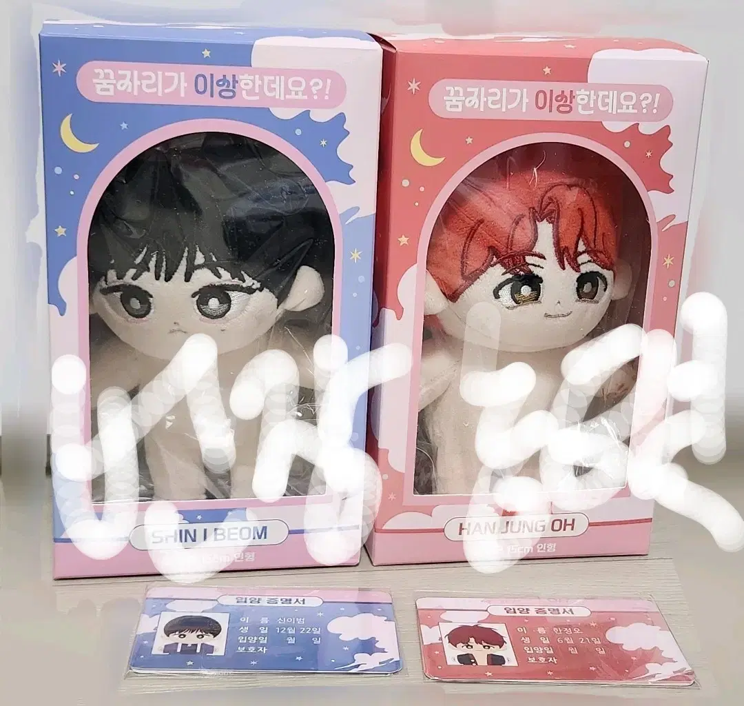 Below Cost) I'm having strange dreams?! Dream Place Limited Oh Han, Shin Ibeom 15cm Official Doll