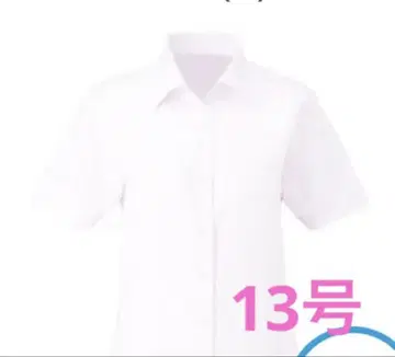 카시카시마 반팔 블라우스