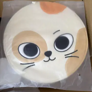 BOOYNEXTDOOR 부채 커버