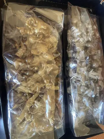 포켓몬 대집 애장판 당시 물건
