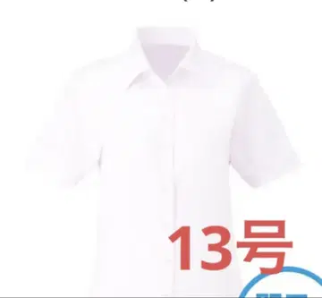 카시카시마 반팔 블라우스