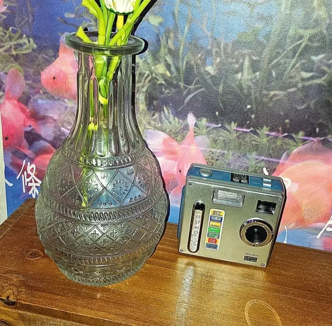 Mint condition Polaroid PDC 3070 / Vintage Digital Camera