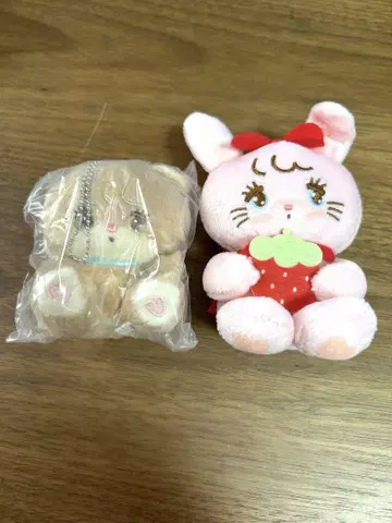 저렴한 가격! 귀여운 미코 세트