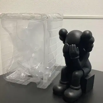 kaws Passing Through 블랙