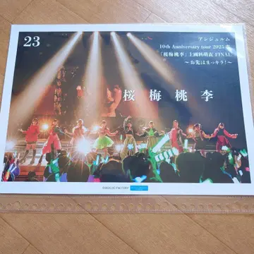 안주루무 핑포스 라이브