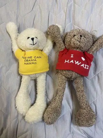 하와이 곰 봉제 인형