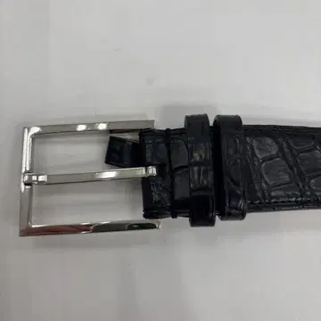 존 롭 벨트