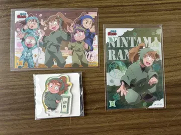 닌자 타마 란타로 젠포지 이사쿠 묶음 판매