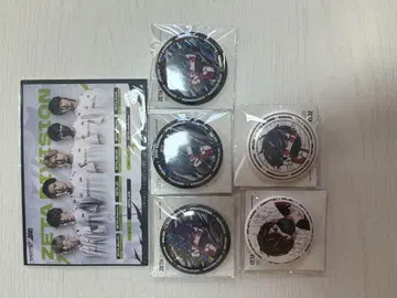 ZETA DIVISION 캔뱃지 세트 5개