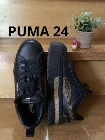 PUMA MAYZE 푸마 메이즈 스니커즈 통굽 여성용 24 블랙 골드