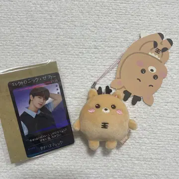 RIIZE 성찬 트레이딩 카드 키링 마스코트