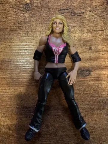 wwe elite 엘리트 Trish Stratus 트리시 스트라타스
