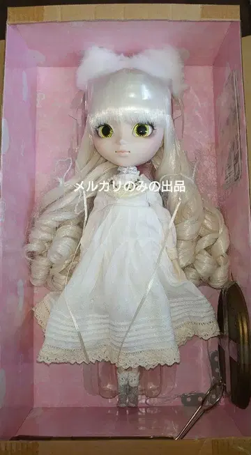 풀립 나나짱