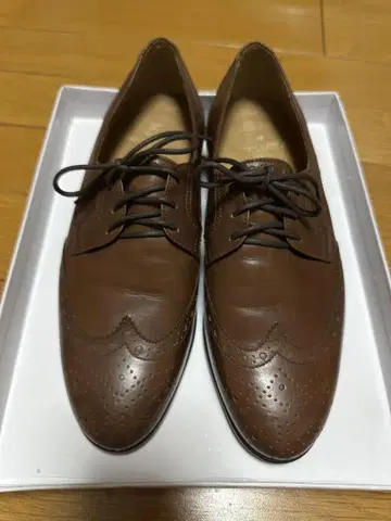 폴로 랄프 로렌 윙 팁 로퍼 브라운 23.5