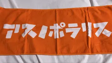 아스노폴라리스 아스포라 타월