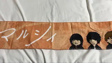 말시 타월