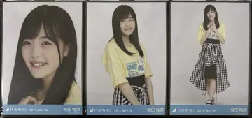 시바타 유나 브로마이드 애니멀 T 컴프