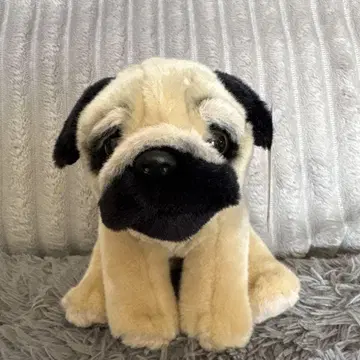 리얼 도그 컬렉션 S 봉제 인형 퍼그 REGALO 레가로