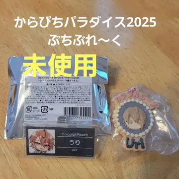 우리 카라피치 파라다이스 2025 명찰 배지 쁘띠부레쿠 카라피치 우리 군