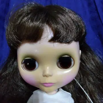 브라이스
