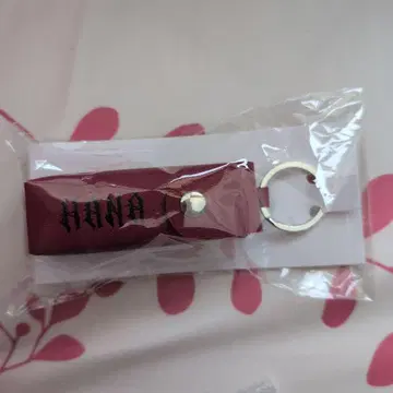 HANA 로고 립 케이스