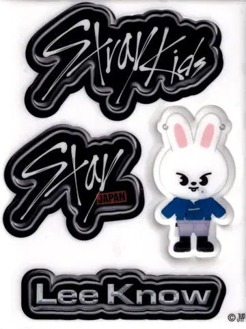StrayKids MANIAC 온라인 복권 LeeKnow 삐삐 씰 D상