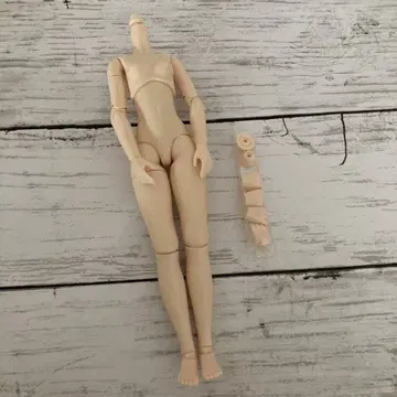 오비츠 바디 22cm 화이티 M 가슴