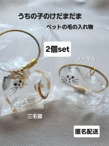 우리 집 고양이 삼색 고양이 노멀 2개 세트 가챠 익명 배송