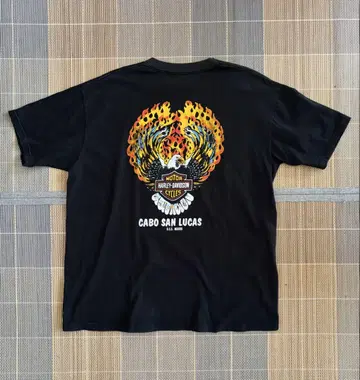 할리데이비슨 티셔츠 CABO SAN LUCAS