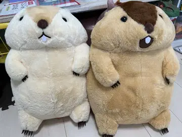 마모트의 모토토 울트라 BIG 봉제 인형