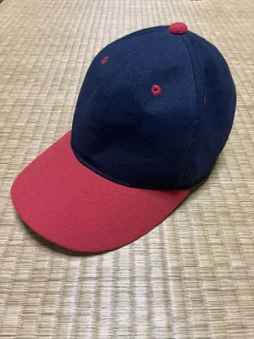 Nike 네이비와 레드 캡