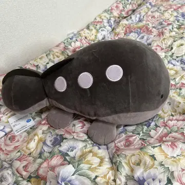 포켓몬스터 메차모후구토 봉제 인형 도오 40cm
