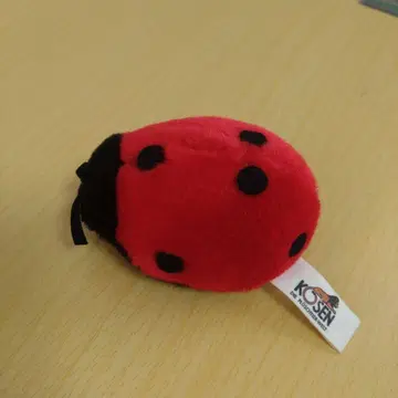 KOSEN 무당벌레 봉제 인형