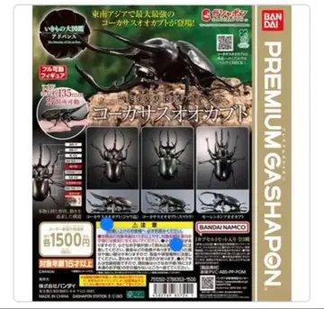 생물대도감 코카서스 가부토 3종 세트