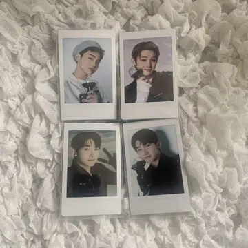 &TEAM JO 조우 폴라로이드 투어
