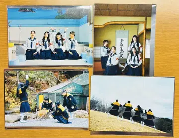 영화 청춘 멧돼지 입장객 혜택 엽서 4종 컴플리트 세트